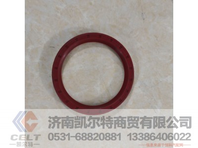 ,前贯通轴油封,济南凯尔特商贸有限公司