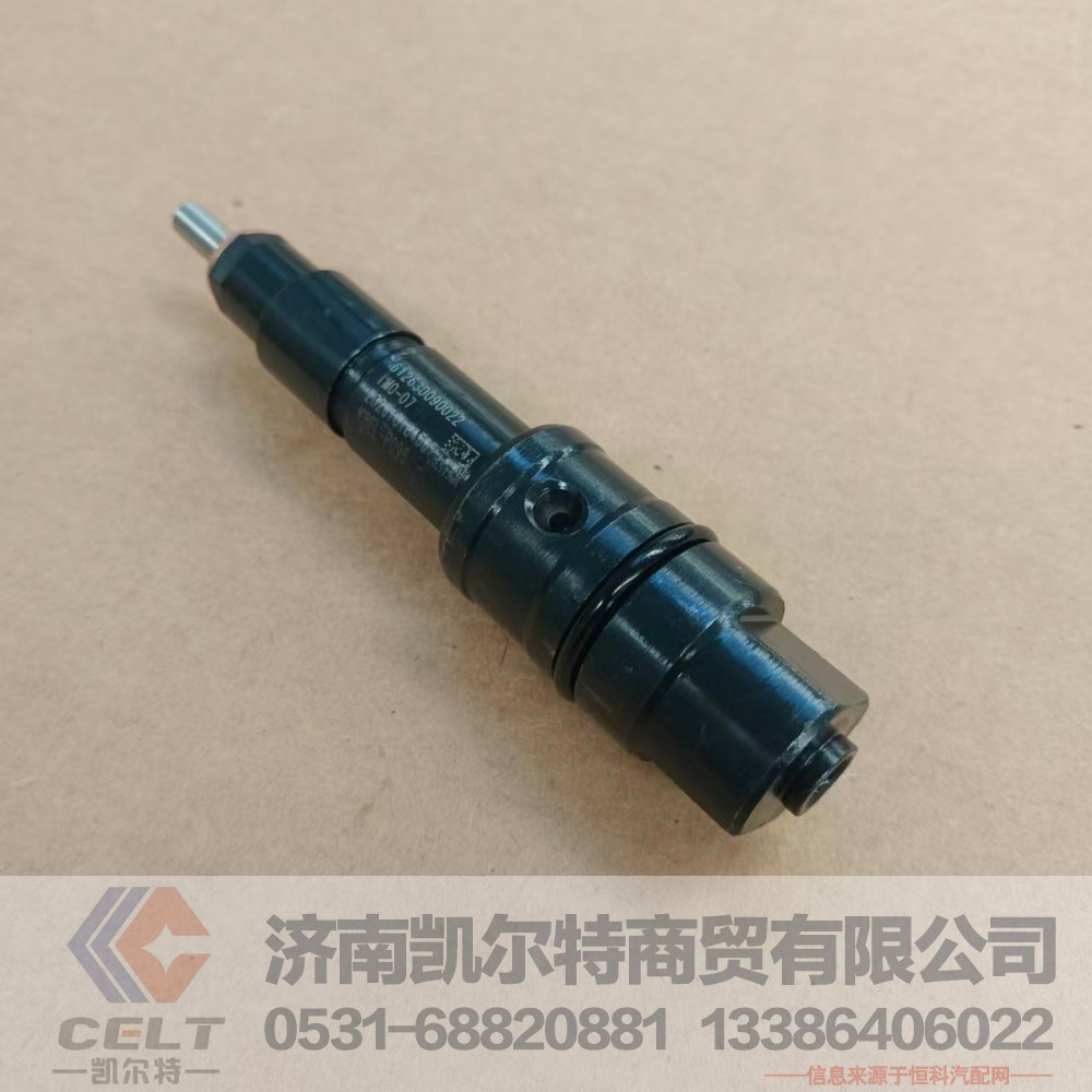 WPA612630090022,喷油器,济南凯尔特商贸有限公司