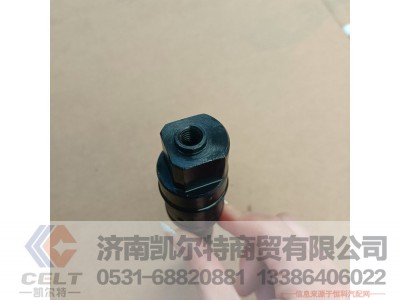 WPA612630090022,喷油器,济南凯尔特商贸有限公司 WPA612630090022,喷油器,济南凯尔特商贸有限公司