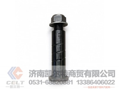 60X195,平衡梁轴销60X195,济南凯尔特商贸有限公司