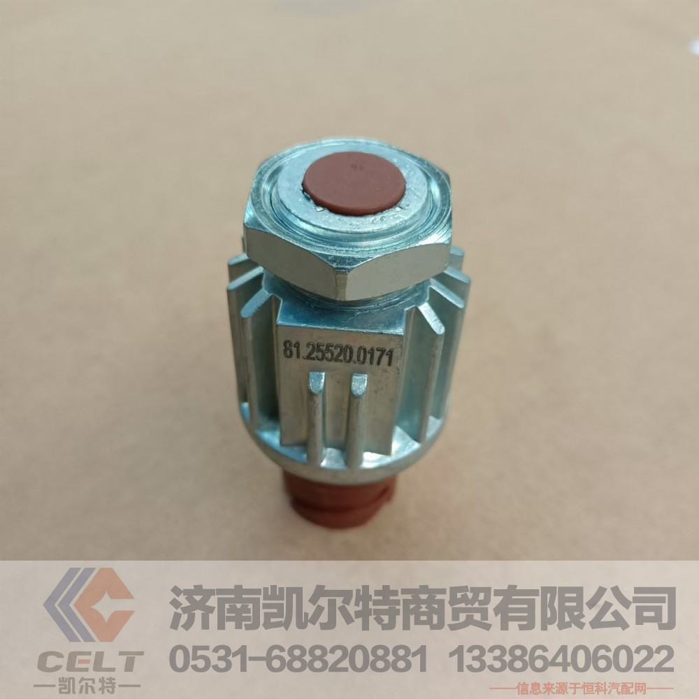 DZ93189582550（81.25520.0171）,制动开关,济南凯尔特商贸有限公司