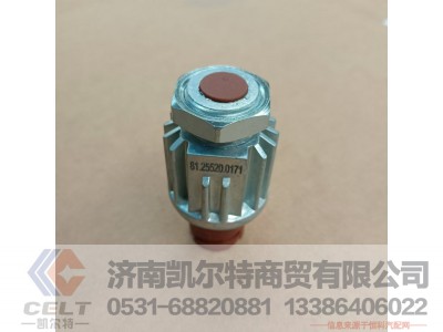 DZ93189582550（81.25520.0171）,制动开关,济南凯尔特商贸有限公司