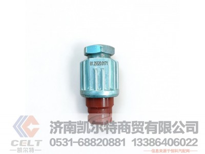 DZ93189582550（81.25520.0171）,制动开关,济南凯尔特商贸有限公司