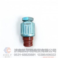 DZ93189582550（81.25520.0171）,制动开关,济南凯尔特商贸有限公司