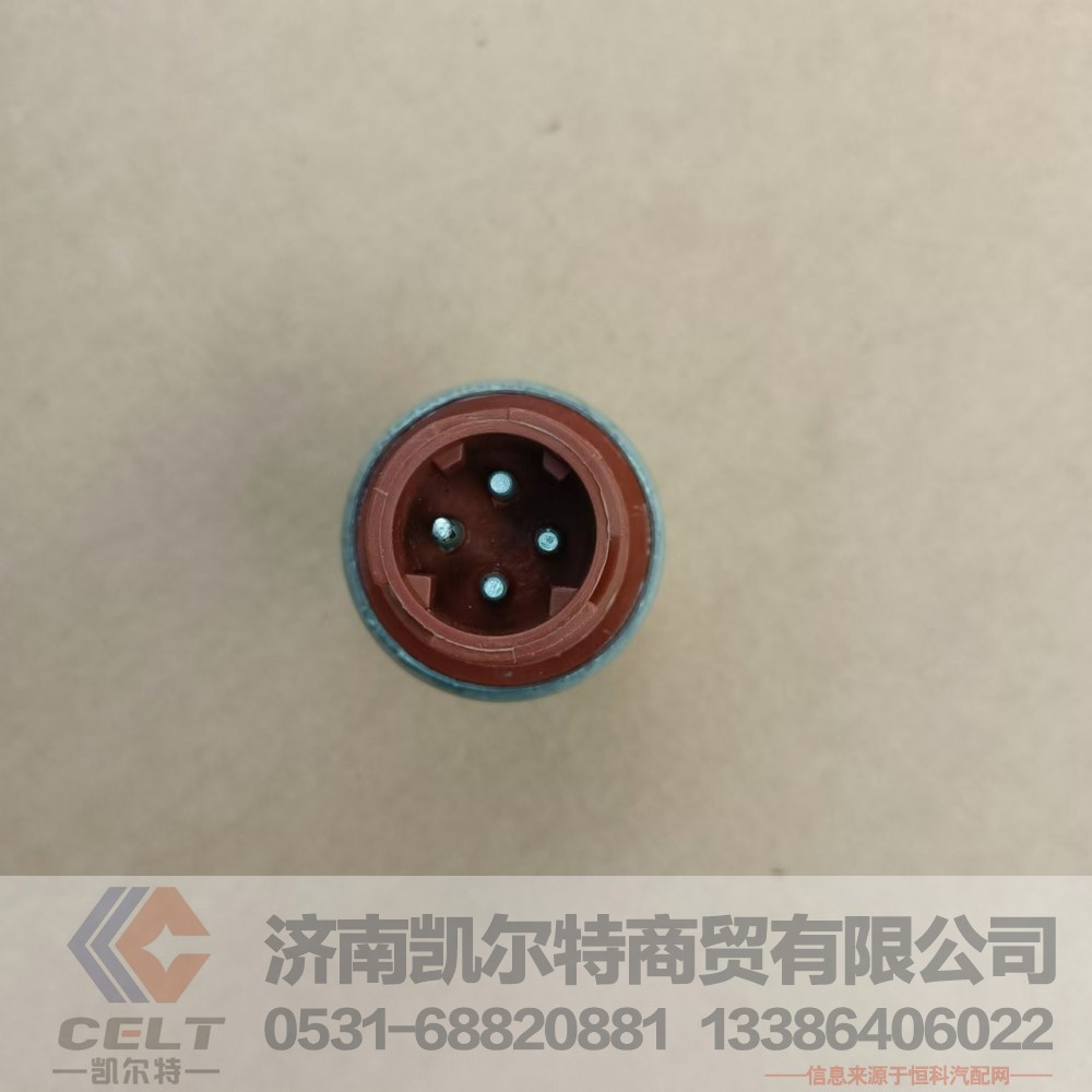 DZ93189582550（81.25520.0171）,制动开关,济南凯尔特商贸有限公司