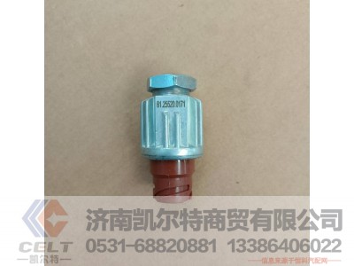 DZ93189582550（81.25520.0171）,制动开关,济南凯尔特商贸有限公司