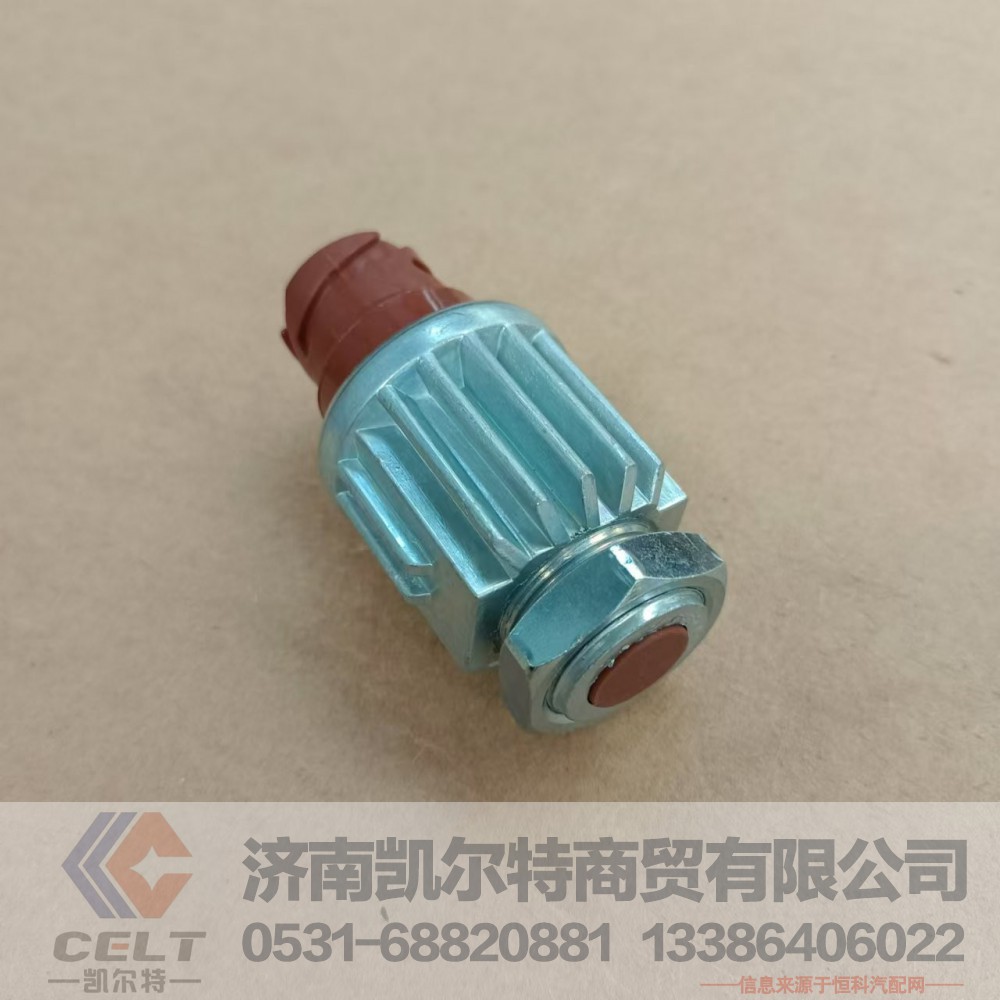 DZ93189582550（81.25520.0171）,制动开关,济南凯尔特商贸有限公司