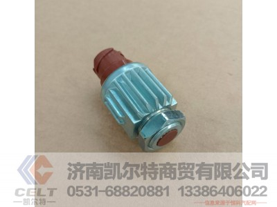 DZ93189582550（81.25520.0171）,制动开关,济南凯尔特商贸有限公司