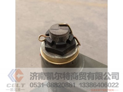 WG9931471060,前过渡摆臂带支架总成(右置),济南凯尔特商贸有限公司