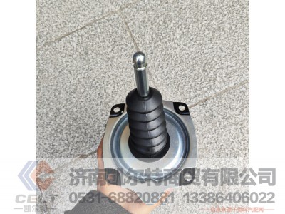 WG9725230051,离合助力泵,济南凯尔特商贸有限公司