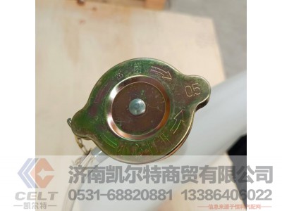 DZ9114530260,膨胀箱总成,济南凯尔特商贸有限公司