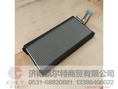 WG1642822062,蒸发器总成,济南凯尔特商贸有限公司