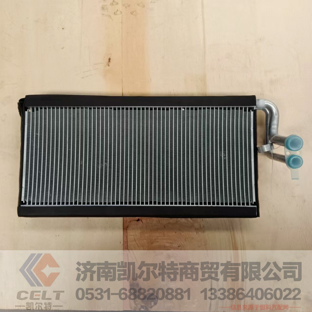 WG1642822062,蒸发器总成,济南凯尔特商贸有限公司