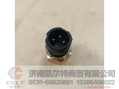 DZ97189711201,电子式气压传感器,济南凯尔特商贸有限公司