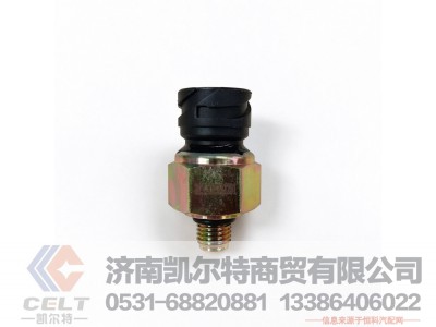 DZ97189711201,电子式气压传感器,济南凯尔特商贸有限公司