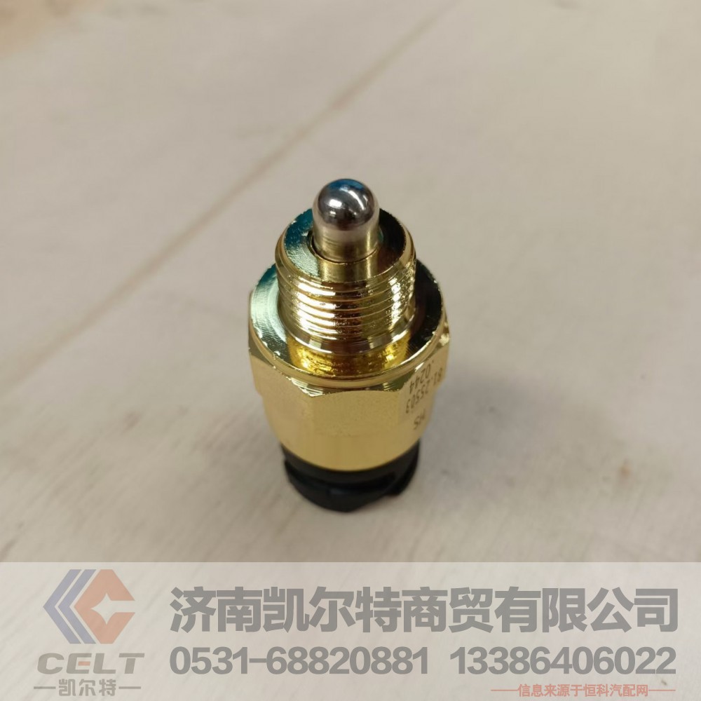 81.25503.0244,差速锁压力开关,济南凯尔特商贸有限公司