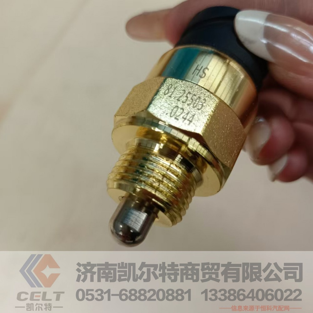 81.25503.0244,差速锁压力开关,济南凯尔特商贸有限公司