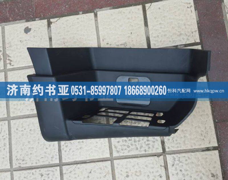 WG1664245010T5G右踏板