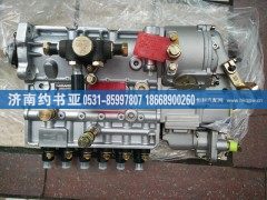 VG1246080097,喷油泵总成,济南约书亚汽车配件有限公司（原华鲁信业）