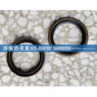 WG9761349008油封