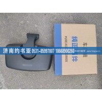 DZ15221770930车门镜