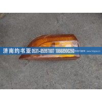 WG9925725012轉(zhuǎn)向燈