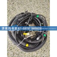 DZ97259779250車架線束