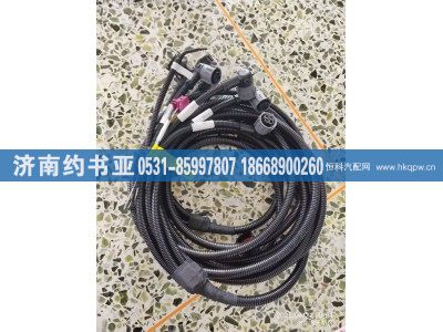 DZ97189774353,底盤線束,濟(jì)南約書(shū)亞汽車配件有限公司（原華魯信業(yè)）