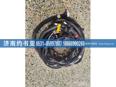 DZ97189775428,底盘线束,济南约书亚汽车配件有限公司（原华鲁信业）