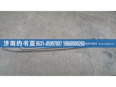 WG1671110134,上裝飾條,濟南約書亞汽車配件有限公司（原華魯信業(yè)）