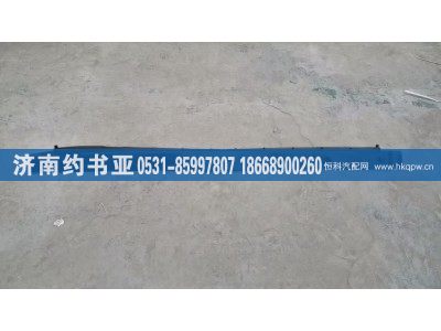 WG1671110110,上裝飾板,濟(jì)南約書(shū)亞汽車配件有限公司（原華魯信業(yè)）