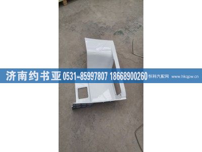 WG1671240219,左腳踏板護(hù)罩,濟(jì)南約書亞汽車配件有限公司（原華魯信業(yè)）