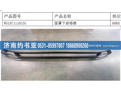 WG1671110135,格柵,濟南約書亞汽車配件有限公司（原華魯信業(yè)）