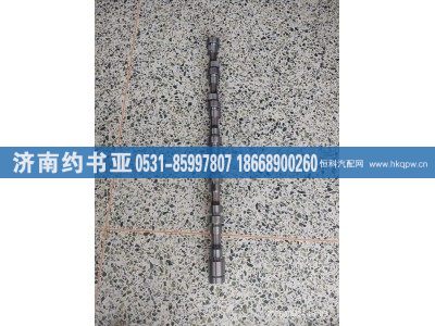 612630050061,发动机凸轮轴,济南约书亚汽车配件有限公司（原华鲁信业）