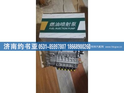 VG1246080342,高壓油泵,濟(jì)南約書亞汽車配件有限公司（原華魯信業(yè)）