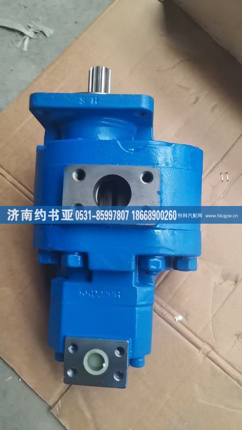 803004248-117132049,齒輪泵,濟南約書亞汽車配件有限公司（原華魯信業(yè)）
