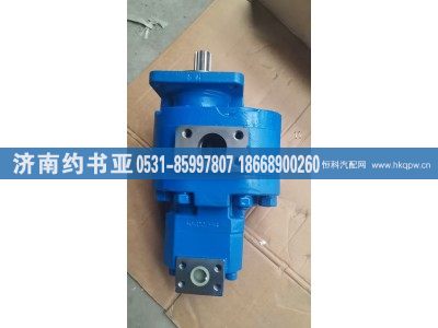 803004248-117132049,齒輪泵,濟南約書亞汽車配件有限公司（原華魯信業(yè)）
