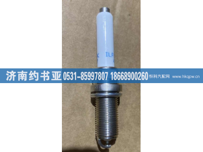 202V25923-0005,火花塞,濟南約書亞汽車配件有限公司（原華魯信業(yè)）