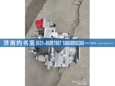 4951501,噴油泵,濟(jì)南約書(shū)亞汽車配件有限公司（原華魯信業(yè)）