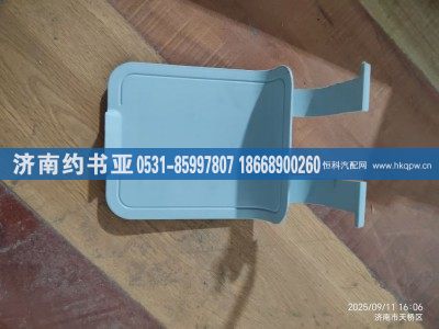 DZ14251240015,大燈檢修口蓋,濟(jì)南約書(shū)亞汽車(chē)配件有限公司（原華魯信業(yè)）