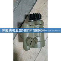 3407020-AKZ-09轉向助力泵