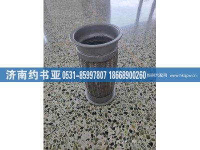 DZ96259540009,绕性软管,济南约书亚汽车配件有限公司（原华鲁信业）