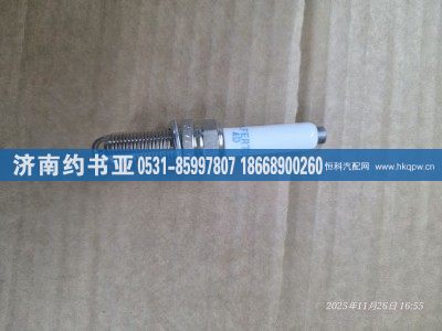 202V25923-0005,火花塞,济南约书亚汽车配件有限公司（原华鲁信业）