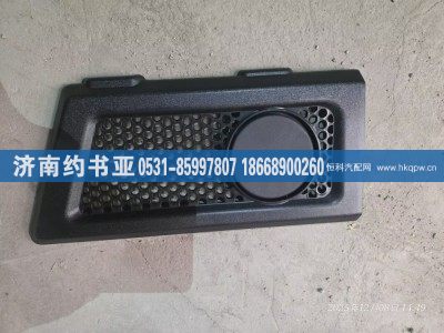 28WLAM111-03034,左侧格栅,济南约书亚汽车配件有限公司（原华鲁信业）