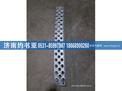 28WLAM111-030102,踏板,济南约书亚汽车配件有限公司（原华鲁信业）