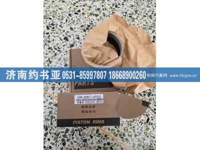 4955251,活塞环,济南约书亚汽车配件有限公司（原华鲁信业）