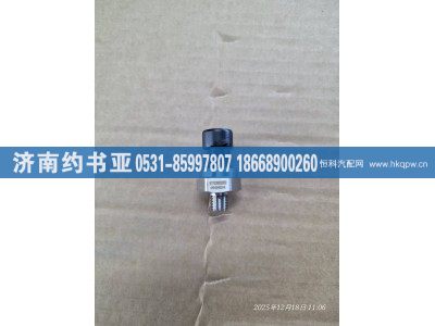 617009000302,传感器,济南约书亚汽车配件有限公司（原华鲁信业）