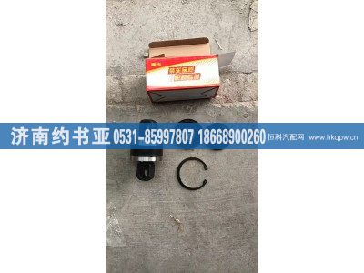 AZ9725529213,推力杆胶芯,济南约书亚汽车配件有限公司（原华鲁信业）