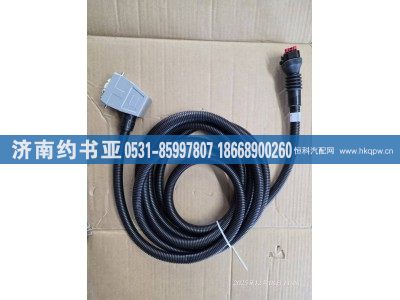 617009000384,线束,济南约书亚汽车配件有限公司（原华鲁信业）