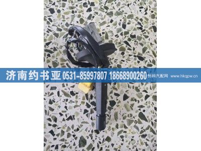 WG9925583003,左组合开关,济南约书亚汽车配件有限公司（原华鲁信业）